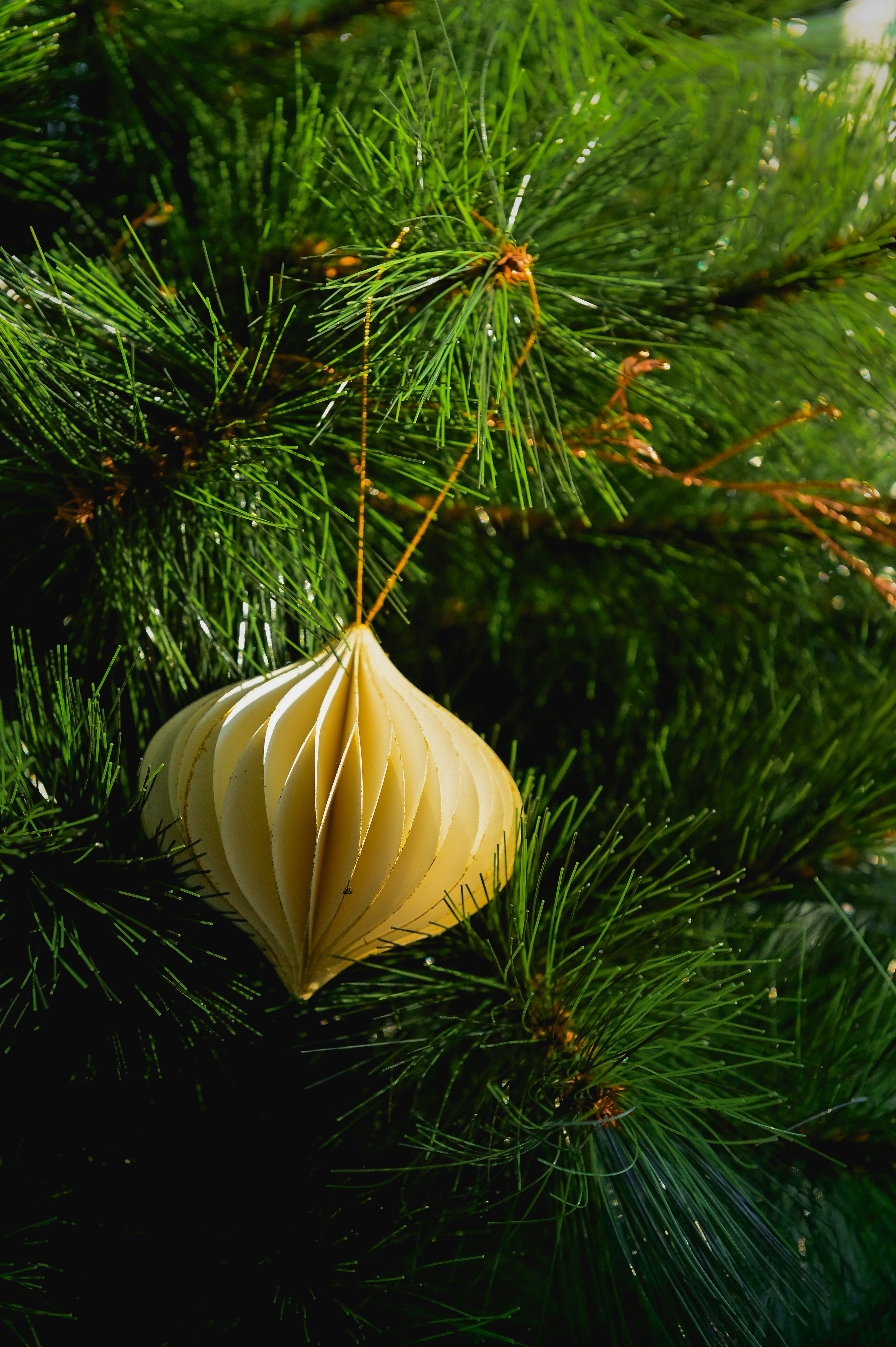 christmas img